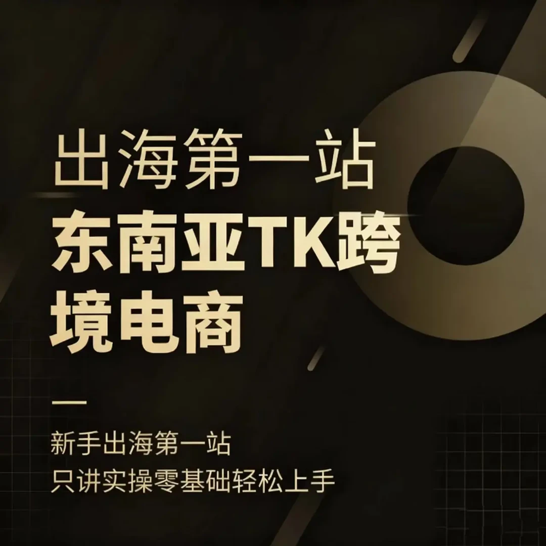 Tik Tok跨境出海视频课A