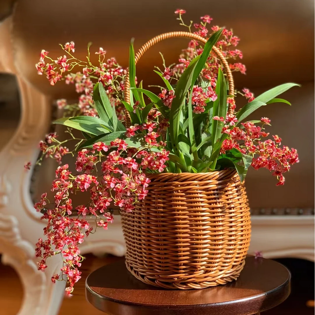 【梦香兰】双A级红色梦香兰7花剑以上  年宵花材 花期超长鲜切花