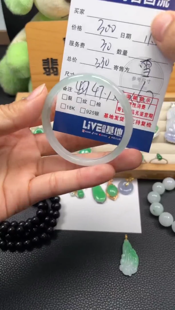 未镶嵌手镯翡翠10150682