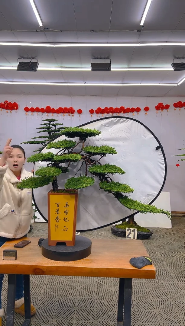 【闪购商品】盆景1