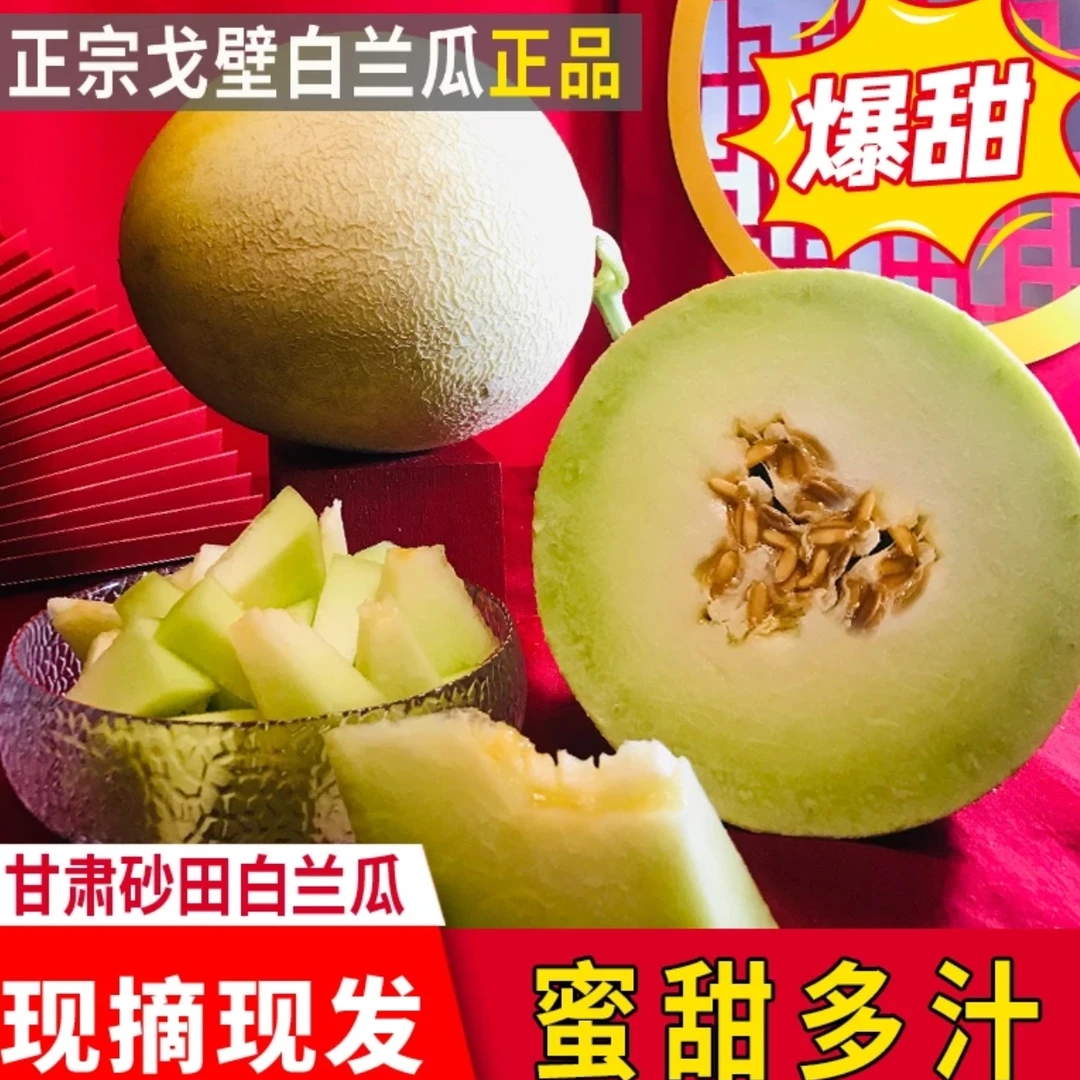 (现摘现发）甘肃民勤沙漠银蒂白兰瓜蜜瓜新鲜当季水果产地