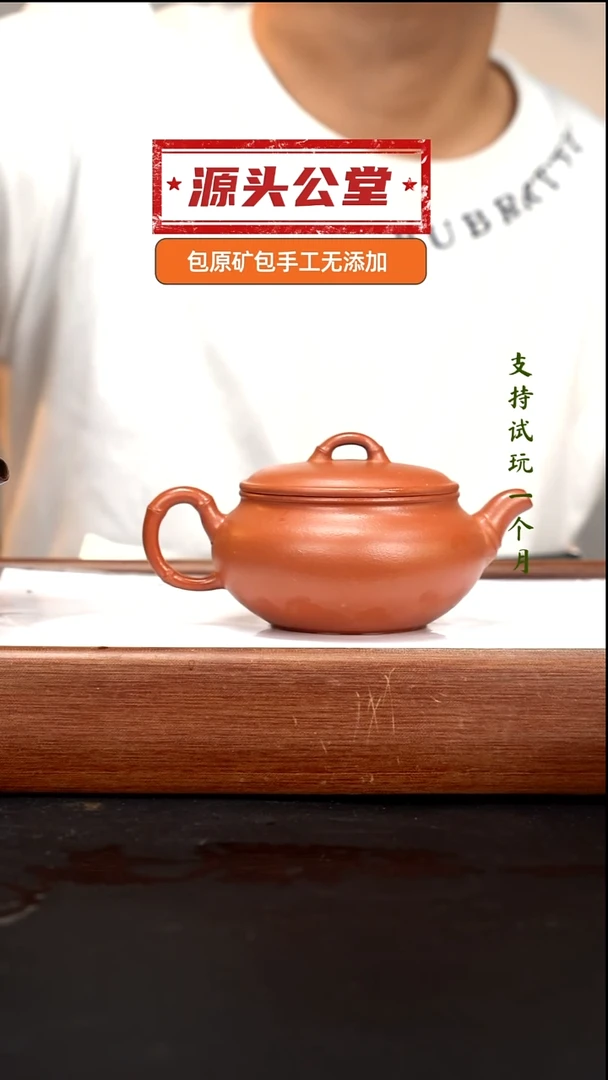 茶壶紫砂ZQ朱泥竹节扁竹