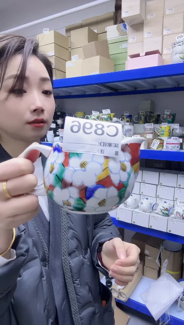 瓷片全新高端瓷器 九谷壶C896