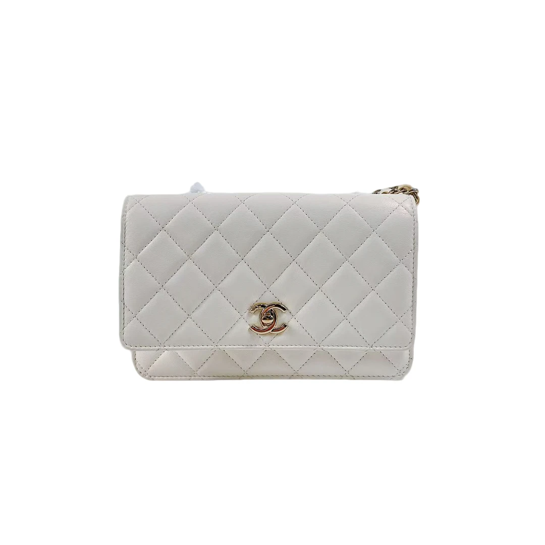 95新 Chanel/香奈儿 安洁利严选链条包/0017749