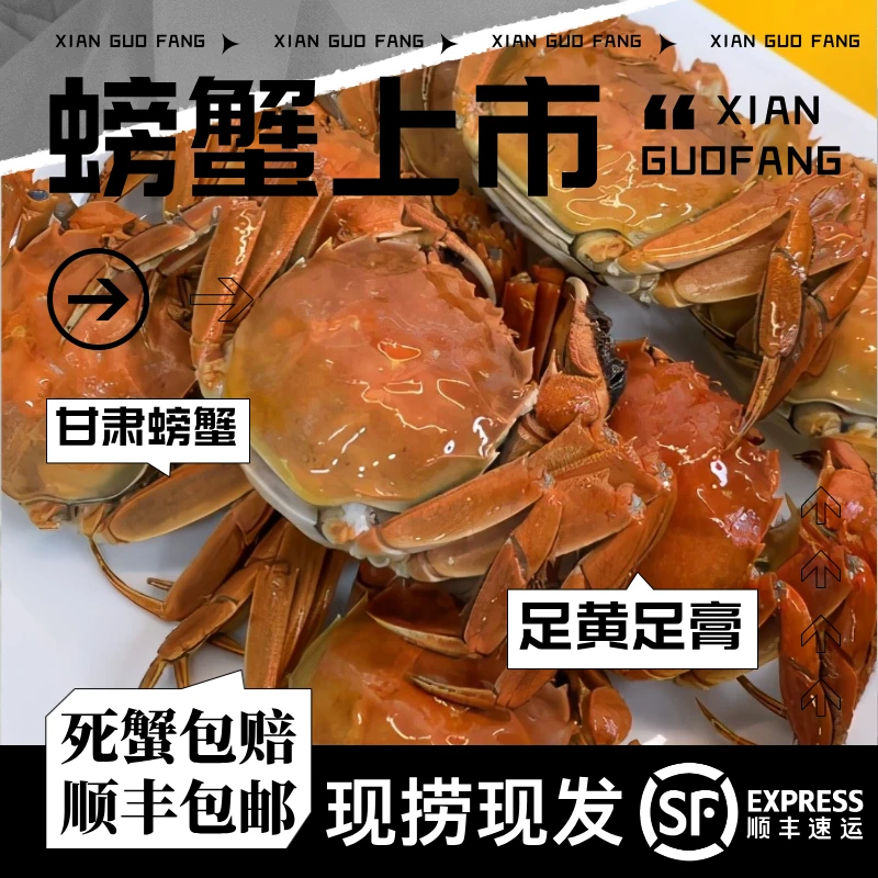 【新客尝鲜】甘肃螃蟹1斤足黄足膏公母对半单只约1.6两顺丰偶有断腿