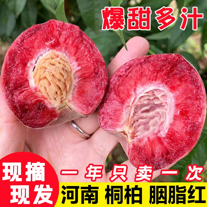 【自然成熟】新鲜现摘血桃朱砂红水果红心红肉朱沙红桃子净重4.5斤