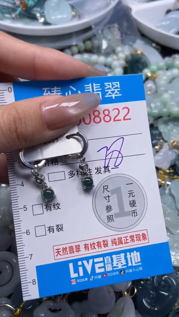 颈饰未镶嵌翡翠8822
