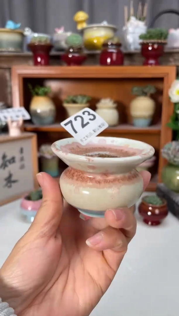 瓷片773小芳直播编号