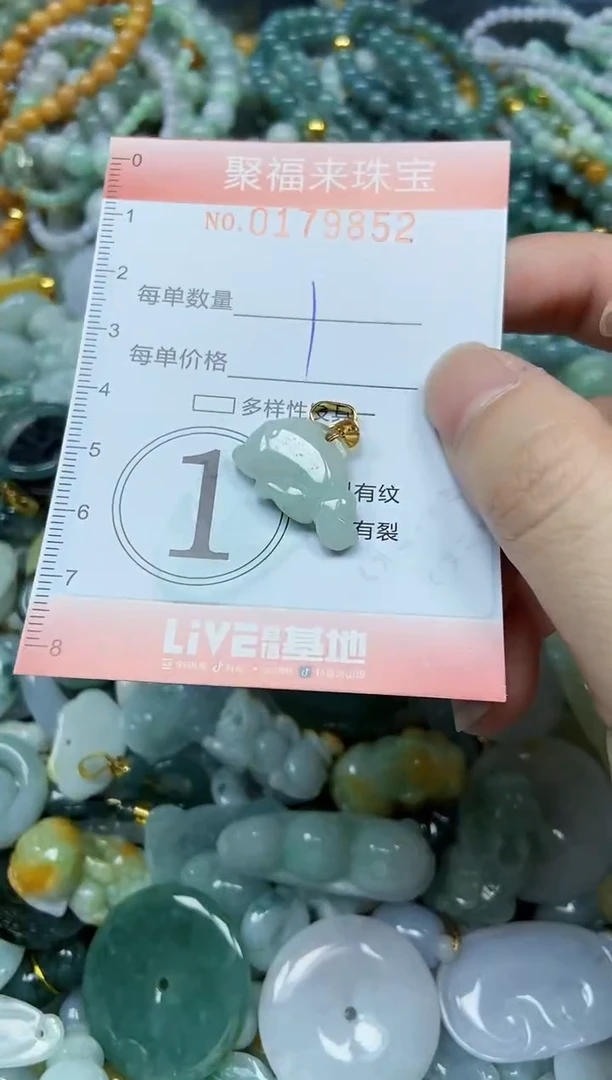 翡翠未镶嵌颈饰闪购0179852