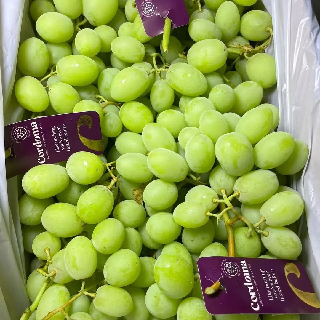 澳洲甜地球青提（提子15元1斤,28元2斤）广西壮族自治区