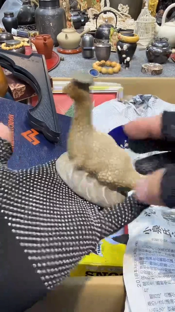 瓷片瓷瓷瓷瓷瓷瓷瓷瓷瓷瓷