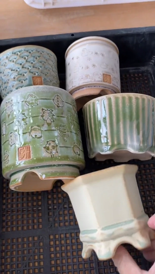 5-10-058默认微瑕一组5个