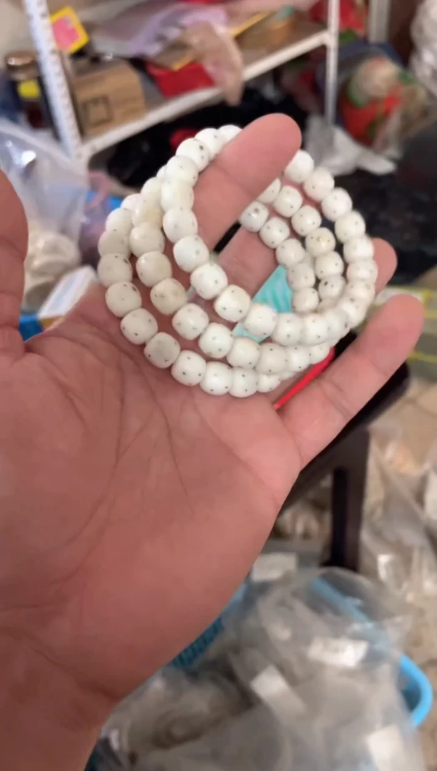 星月菩提手串海南星月菩提《白玉》10X9单圈