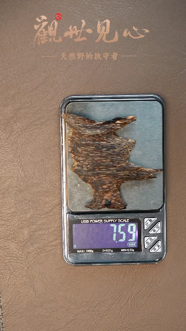 沉香沉香碎屑越南芽庄钉壳料  7.59g