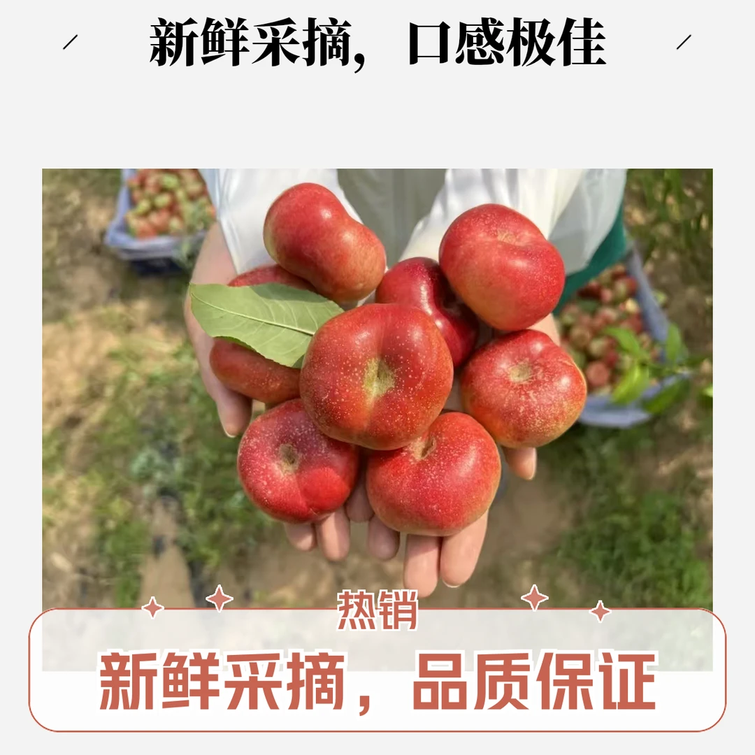 顺丰包邮新疆冰糖纽扣蟠桃扁桃老人小孩孕妇水果当季水果