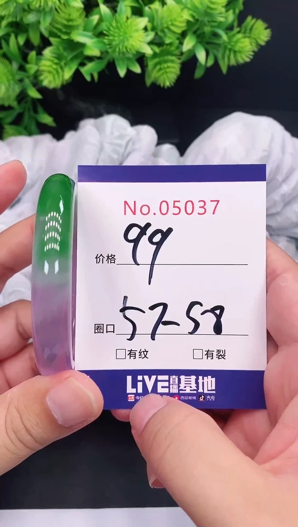 未镶嵌手镯翡翠5037