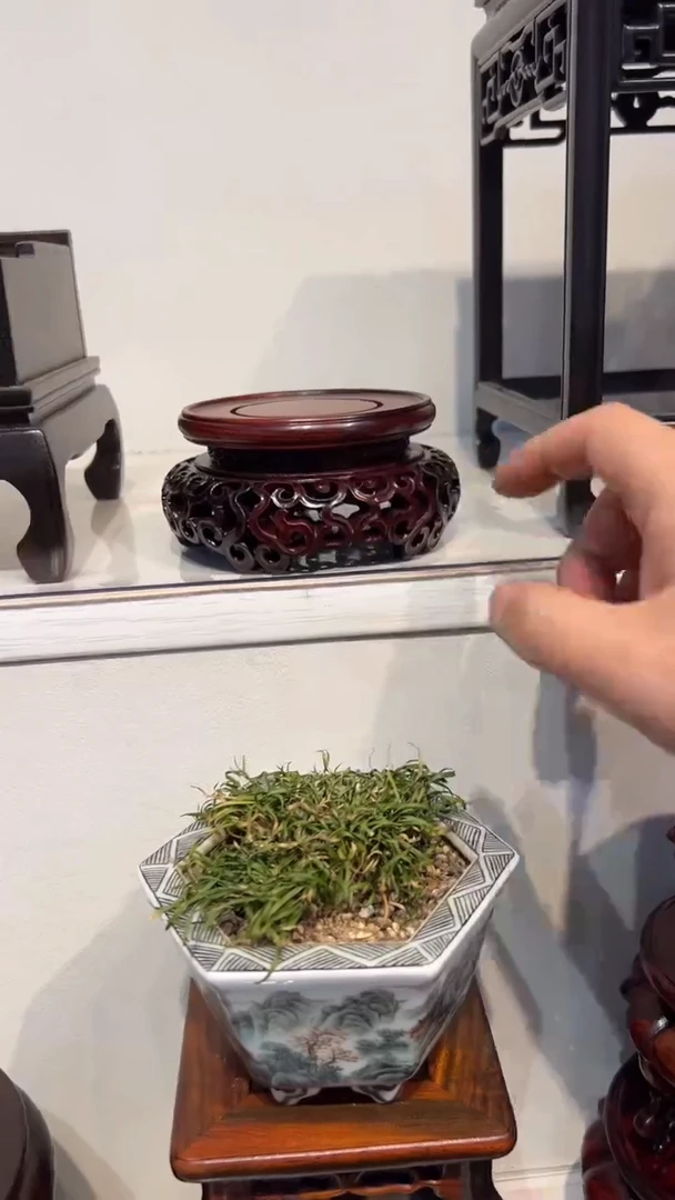 【闪购商品】紫砂1紫砂紫砂紫砂紫砂紫砂1