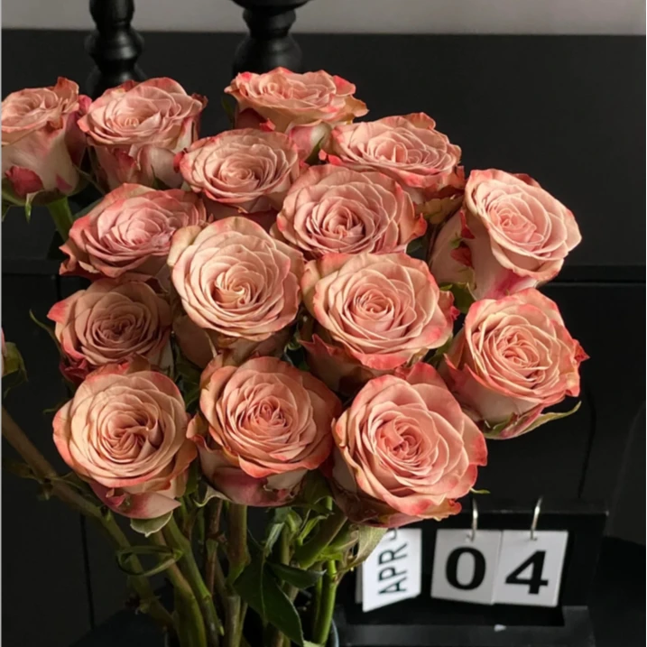 【探花甄选】卡布奇诺（带包装醒花） 任意两单升级顺丰冷链