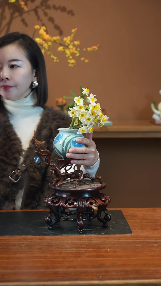 全部花朵水仙花盆景盆景