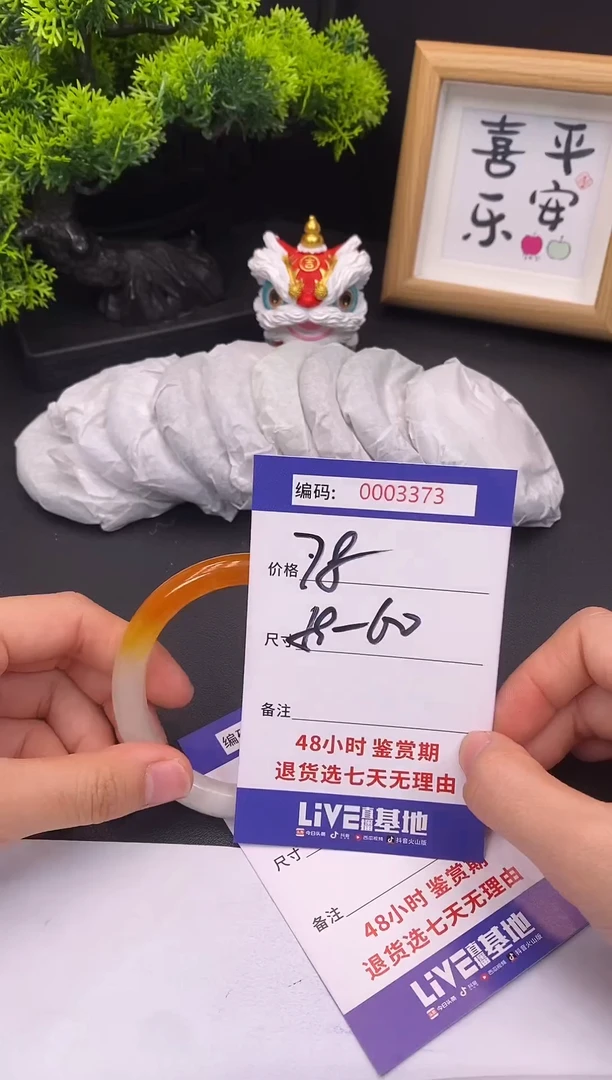 未镶嵌手镯翡翠0003373