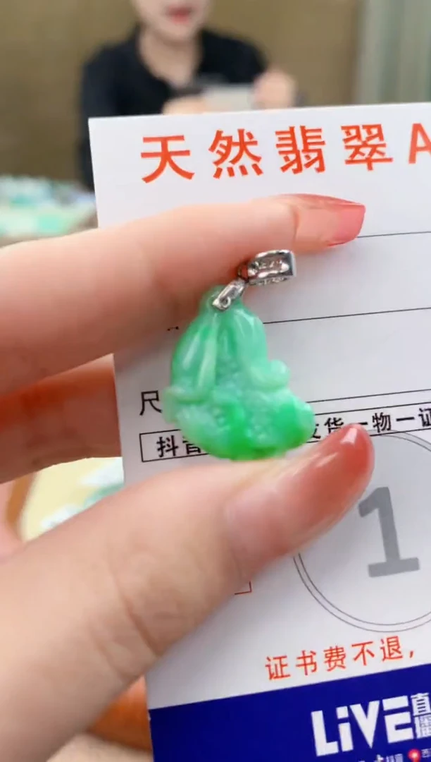 颈饰未镶嵌翡翠天然A货翡翠挂件