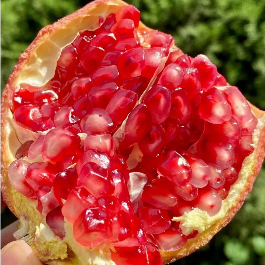 DB-472四川会理石榴软籽石榴高山种植香甜多汁新鲜水果