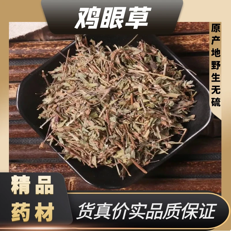 鸡眼草中药材人字草野生鸡眼草三叶草苍蝇翅掐不齐公母草