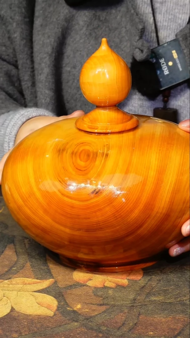 木小叶桢楠【35】  台湾侩木 葫芦