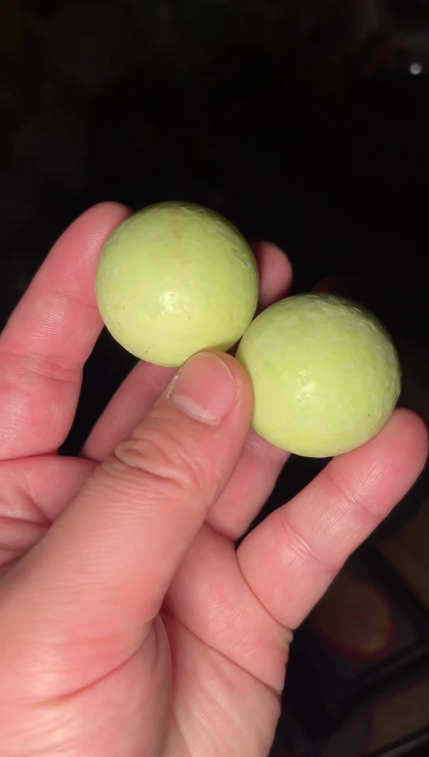 木【闪购商品】木木所见及所得