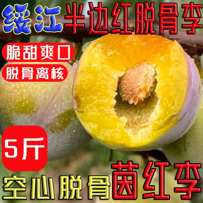 半边红脱骨脆李茵红李应季新鲜水果脱骨离核空心脆甜爽口产地直发