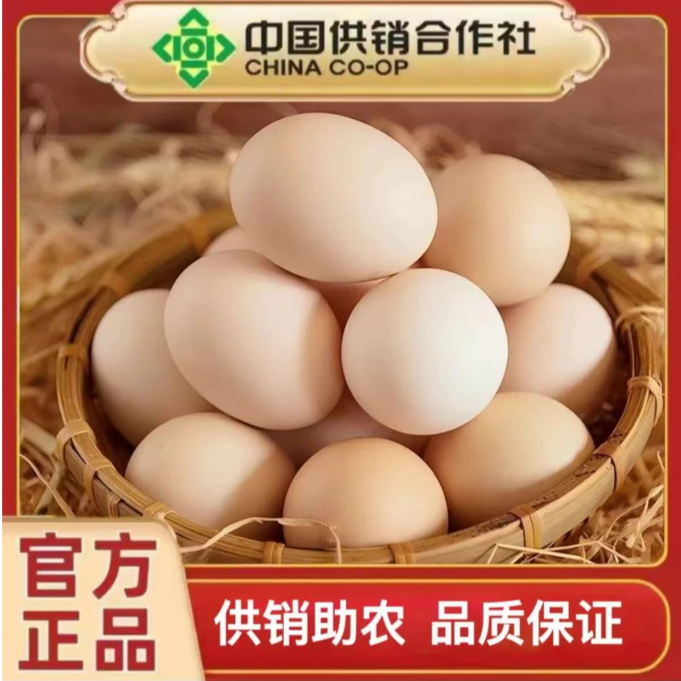 【供销甄选】认养一只土鸡，每个月发一箱鲜鸡蛋.总12箱加一只跑山鸡
