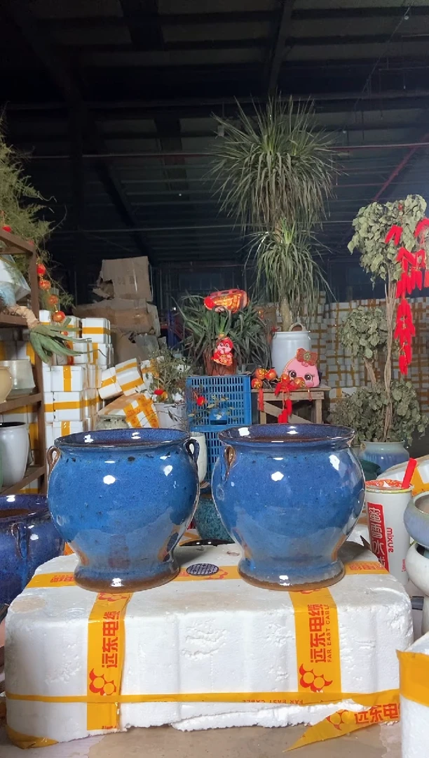 【闪购商品】红陶11111