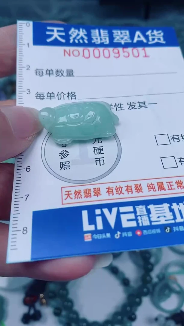 颈饰未镶嵌翡翠00009501