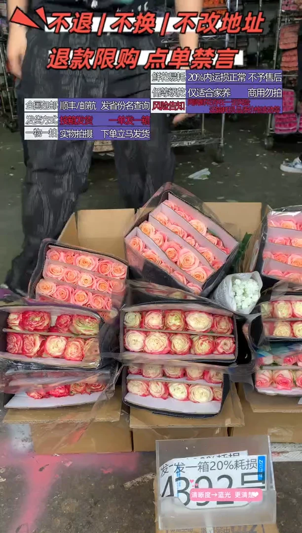 392号♥含20%耗损发一箱