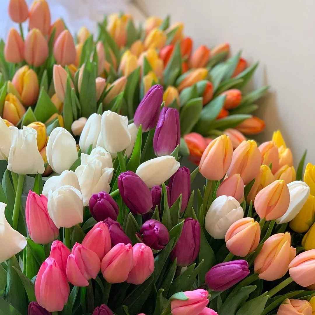 【王安园艺】随机鲜花一把基地直发高端花卉