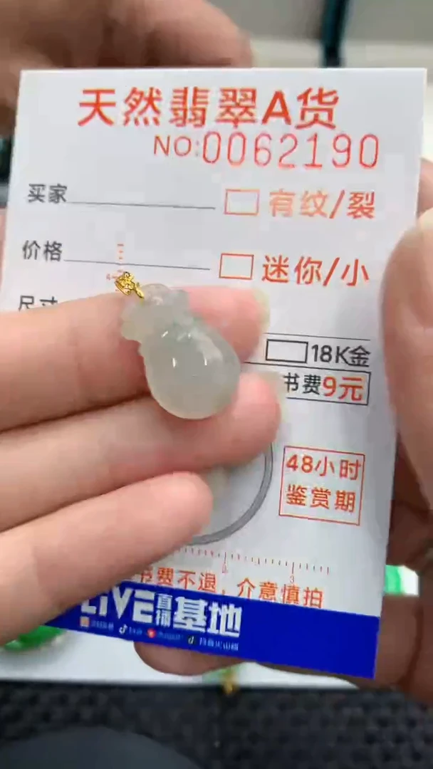 【闪购商品】翡翠颈饰18K金镶嵌            8