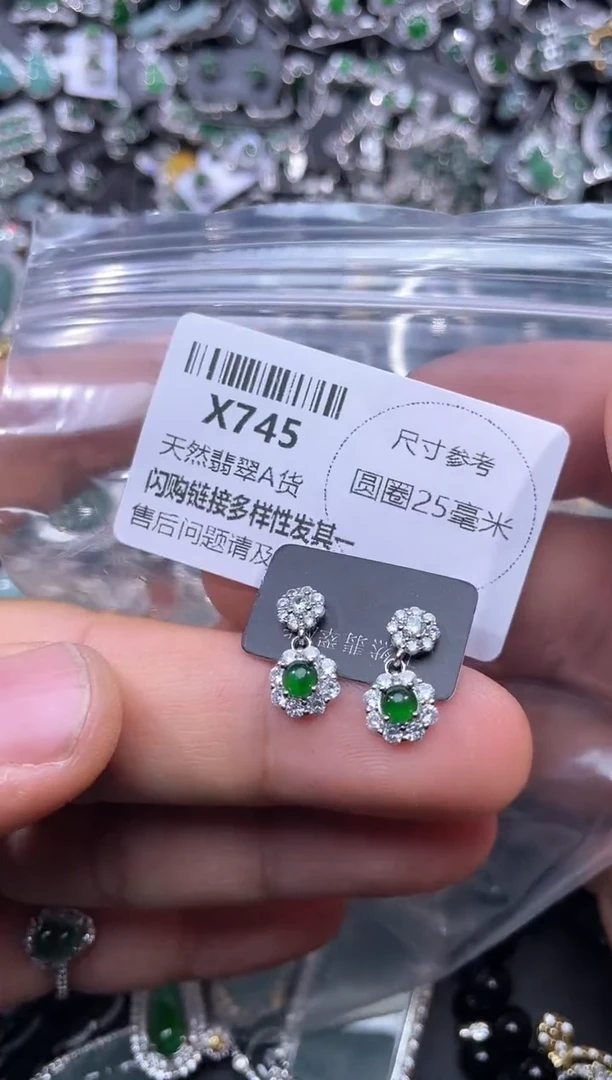 【闪购商品】翡翠颈饰未镶嵌X745耳钉