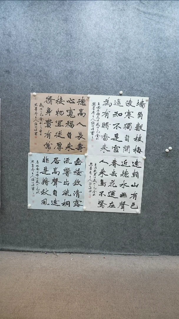 书法书法zhx老师作品