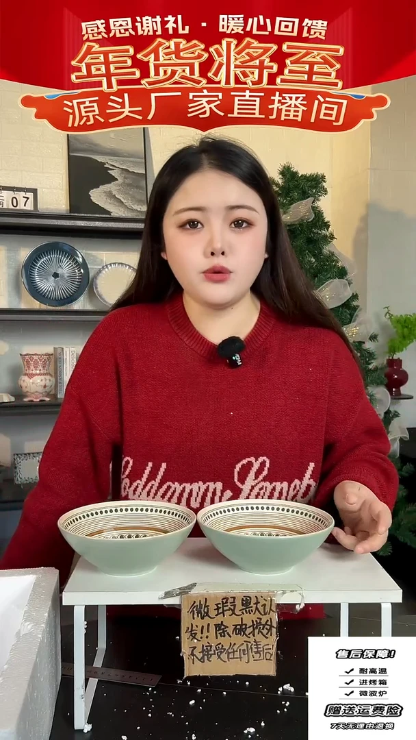 【闪购商品】瓷波西米亚沙拉碗-2只装