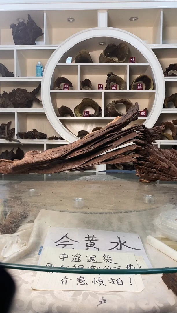 心*鱼缸造景素材沉木449