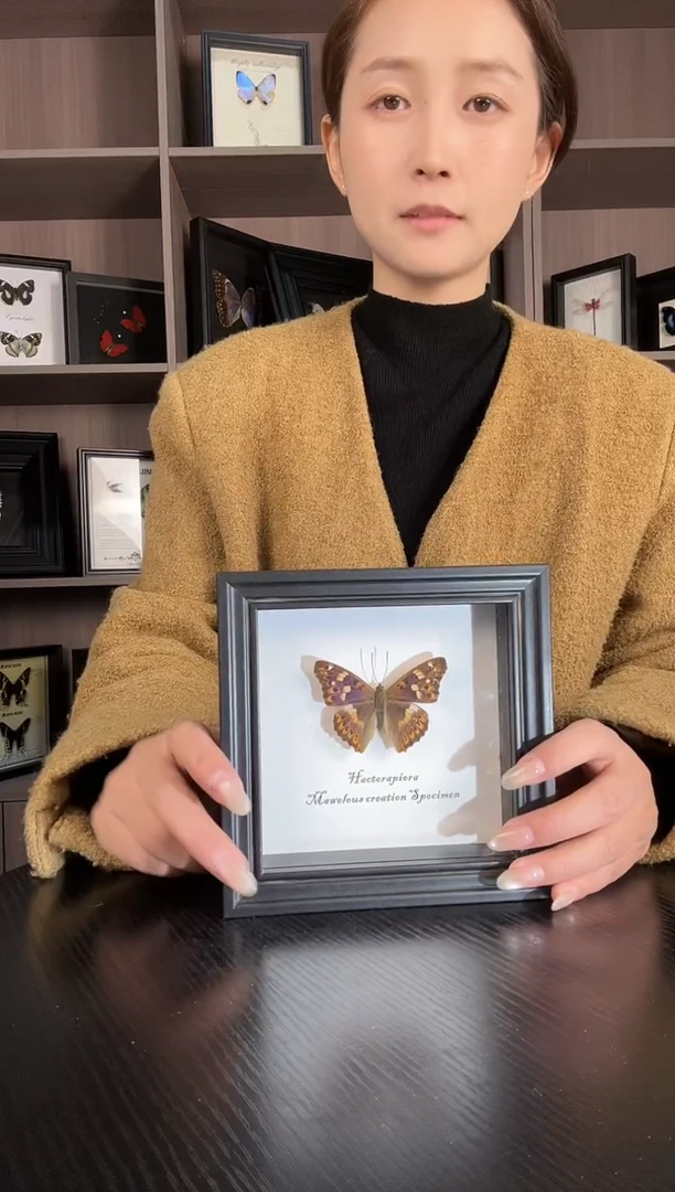 实木竖款柳紫闪蛱蝶（蝴蝶装饰画5寸框）