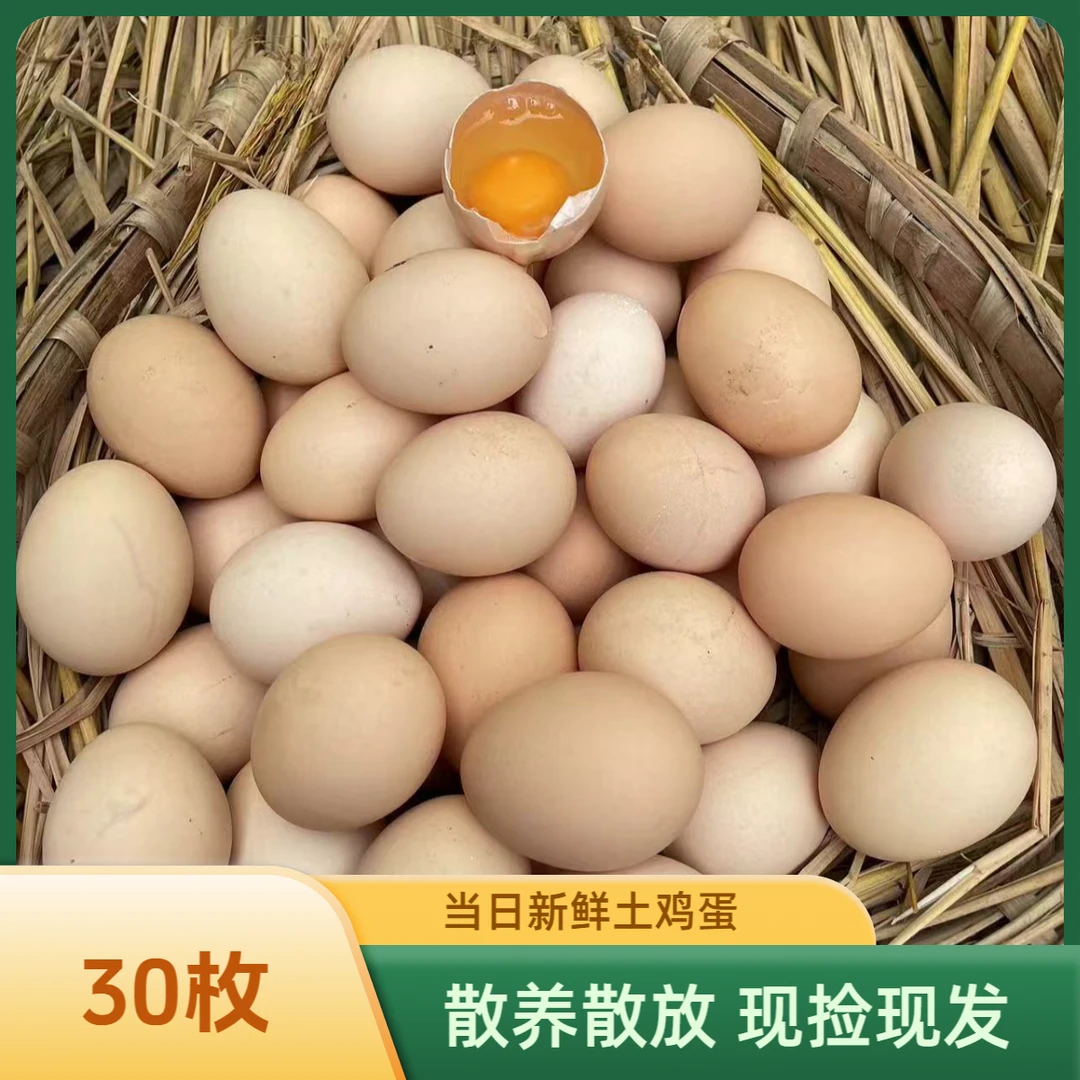 [试吃5枚]30枚粉壳土鸡蛋当日新鲜现捡现发散养散放