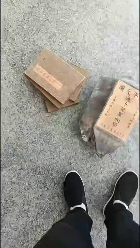 般**予一套000000000000