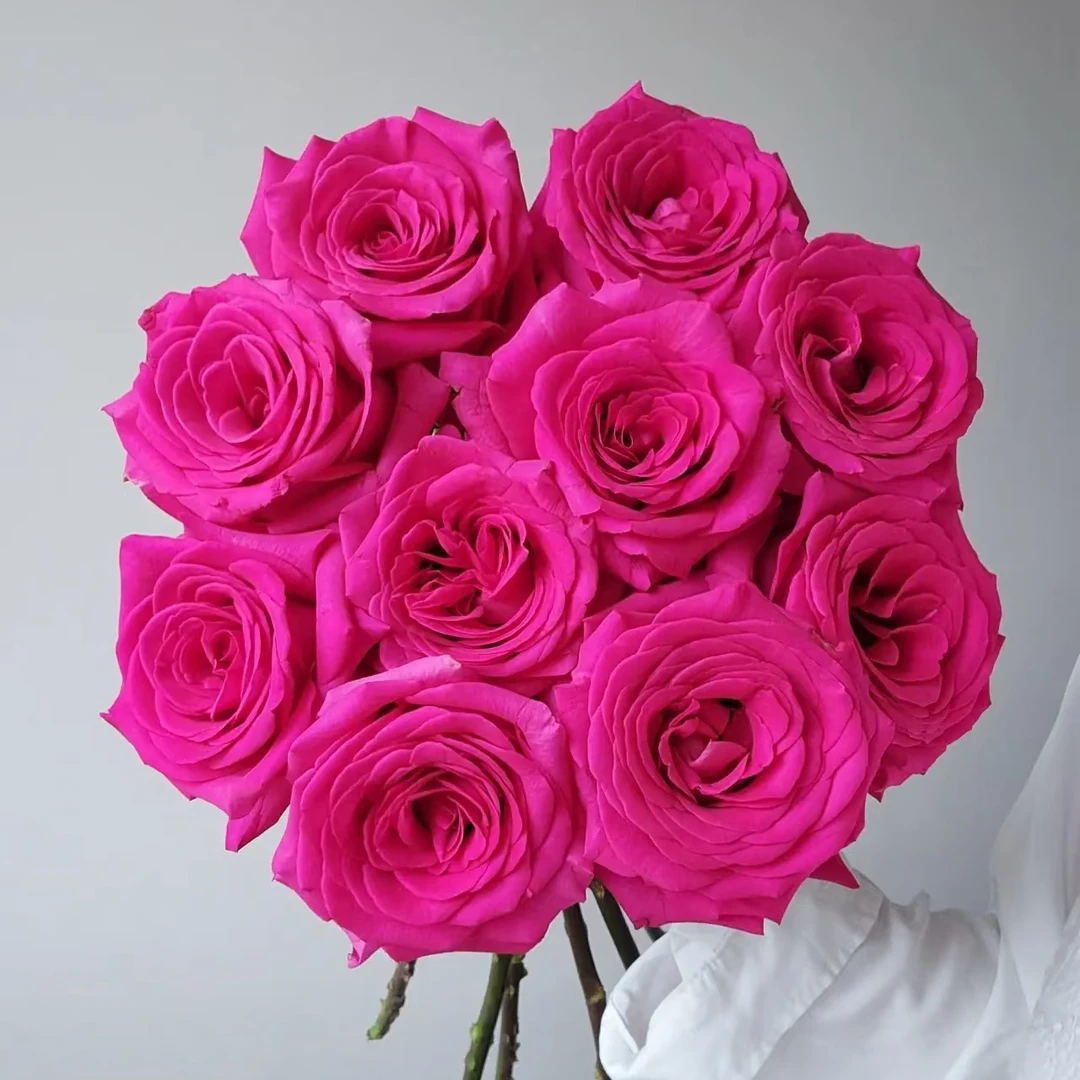 【佛洛依德】单头玫瑰（全场同一地址两单顺丰冷链包邮噢~）