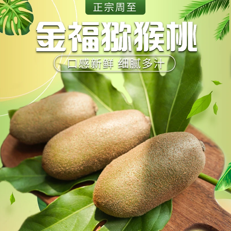 周至金福猕猴小果桃新鲜水果高端猕猴桃送礼果园直发