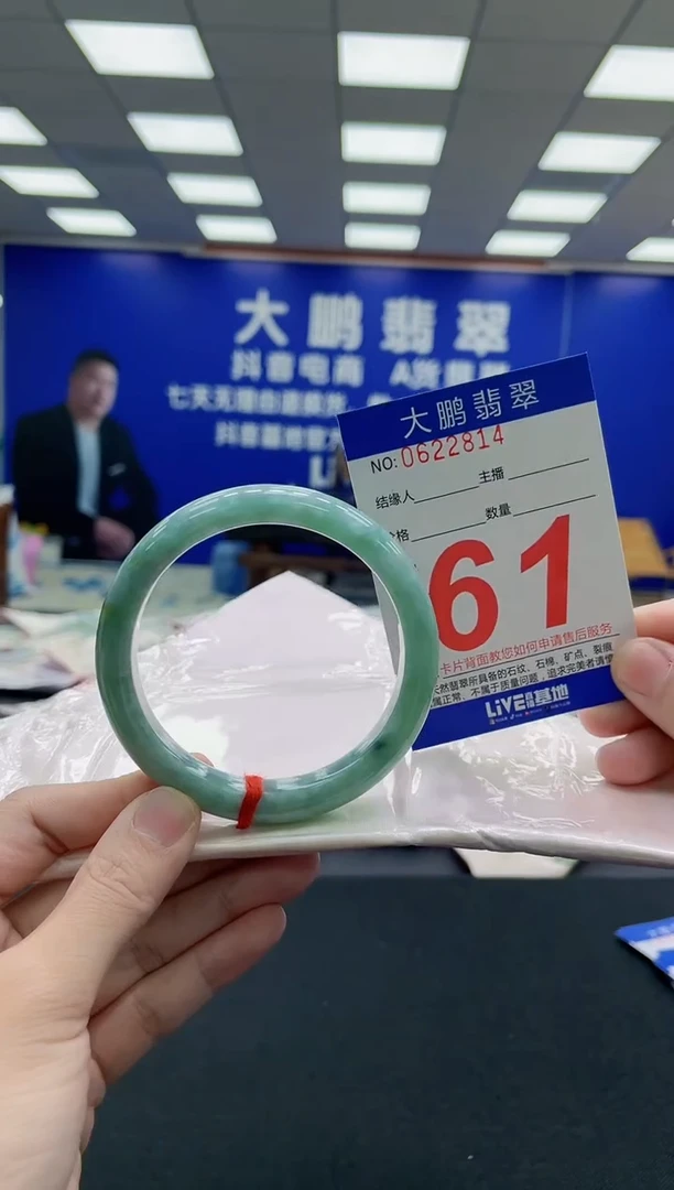 未镶嵌手镯翡翠AAAAAAAAA