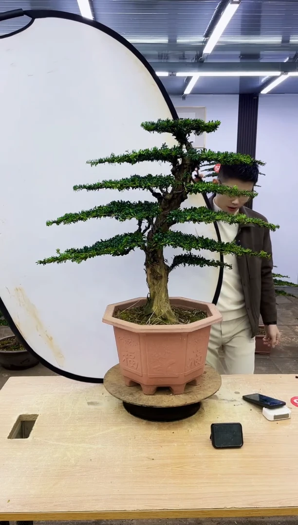 无花朵00000000000000