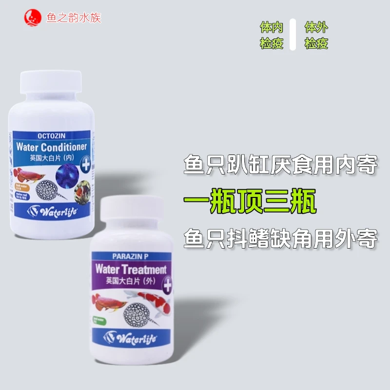 英国进口waterlife大白片内外寄趴缸凸眼蛀鳞头洞用鱼缸