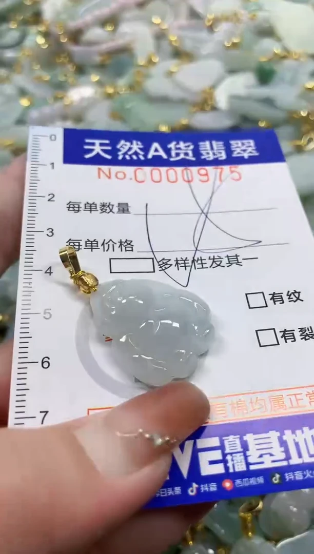 颈饰未镶嵌翡翠天然A货翡翠