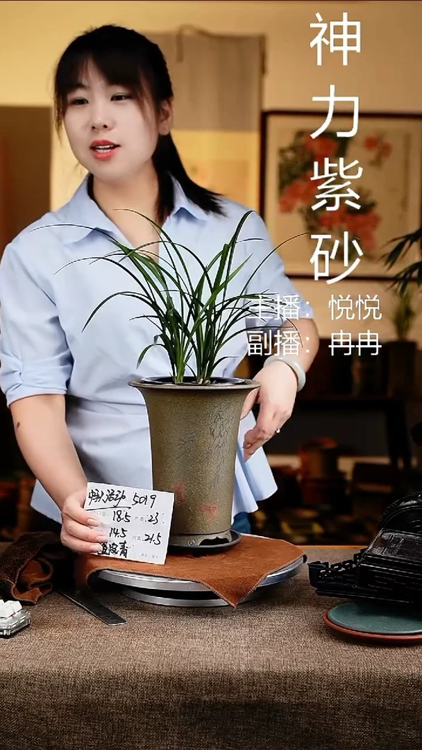紫砂花盆花卉工艺5019+z